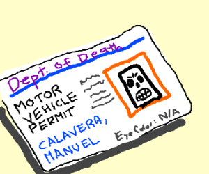 300x250 Dios De La Muerte Drivers License