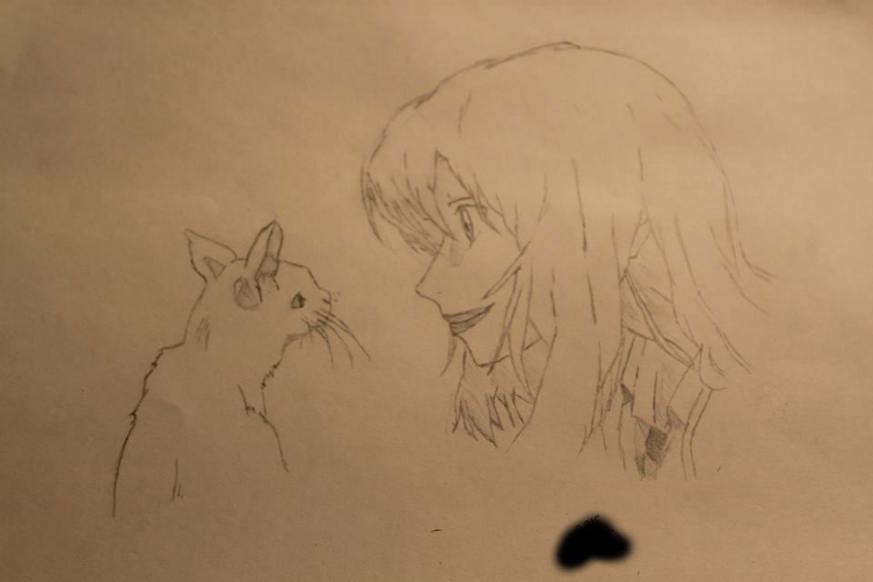 960x640 Your Lie In April Drawing.