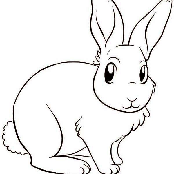 600x600 Rabbit Drawings Images Line Drawing Bunny