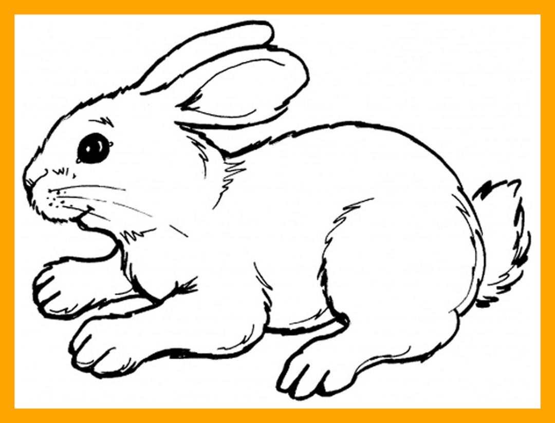 1080x824 Awesome Bunny Line Drawing At Getdrawings For Personal Use Picture