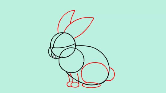 550x309 How To Draw A Bunny 13 Steps (With Pictures)