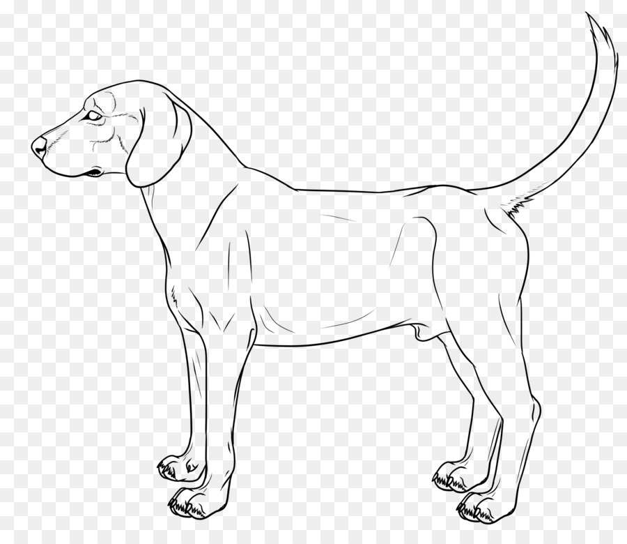 900x780 German Shepherd Boxer Puppy Drawing Line Art