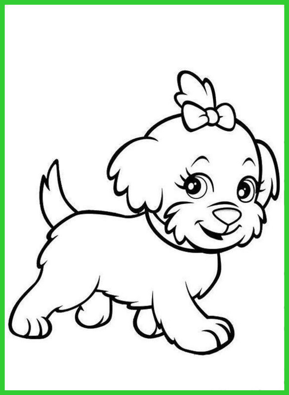 930x1270 The Best Fresh Dogs Are Cute And No Wonder That They Make Good