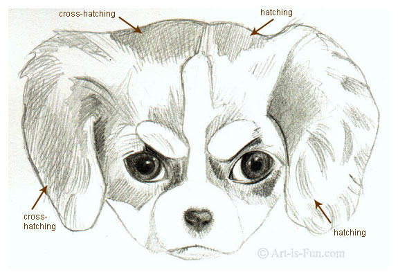 575x400 How To Draw A Puppy Learn How To Draw Puppies! Art Is Fun