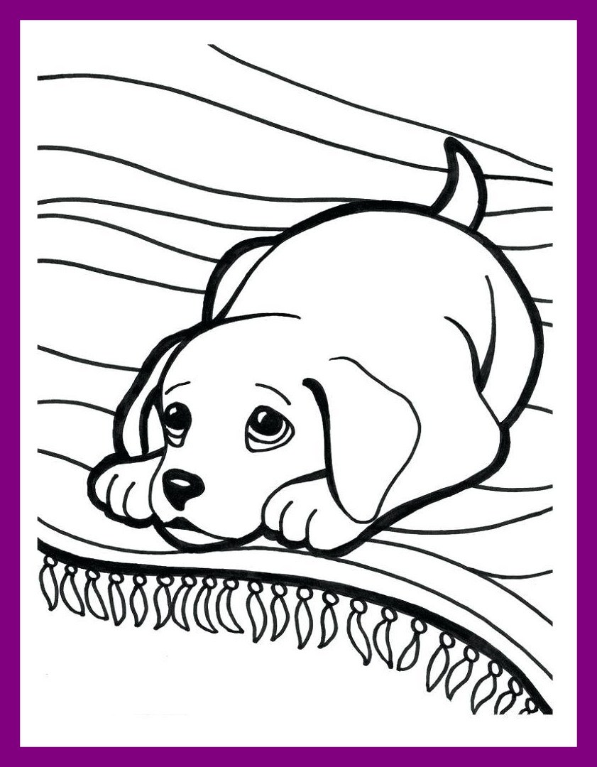 841x1080 Cute Dog Line Drawing