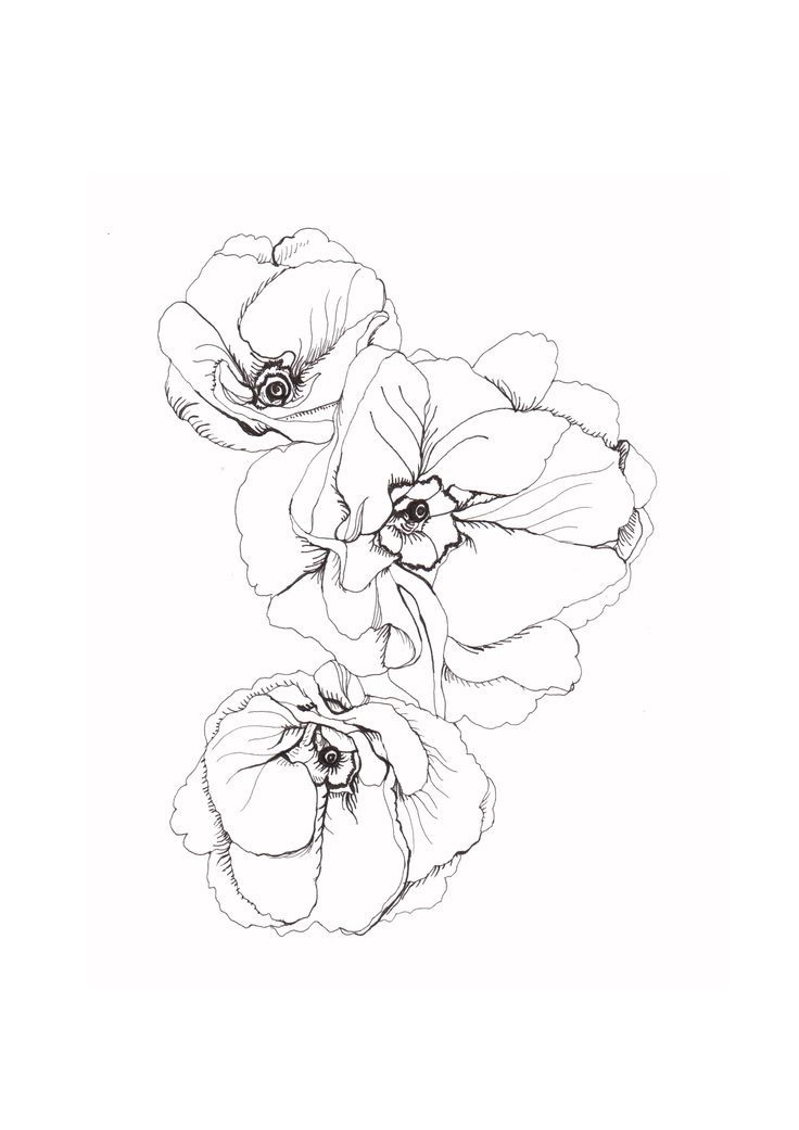 736x1041 Photos Flower Line Drawing Tattoo,