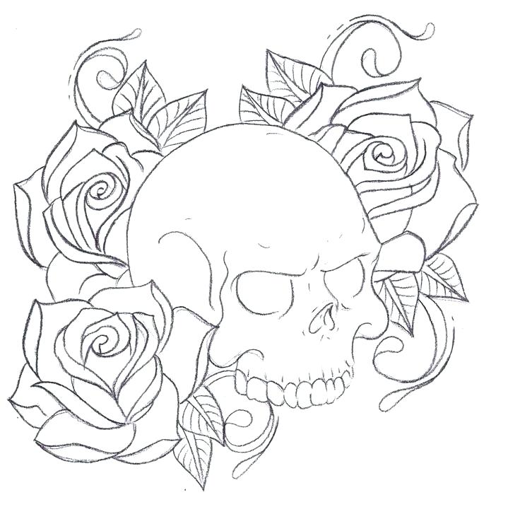 736x717 Deer Skull Outlines 8 Best Skull And Rose Tattoo Designs Images