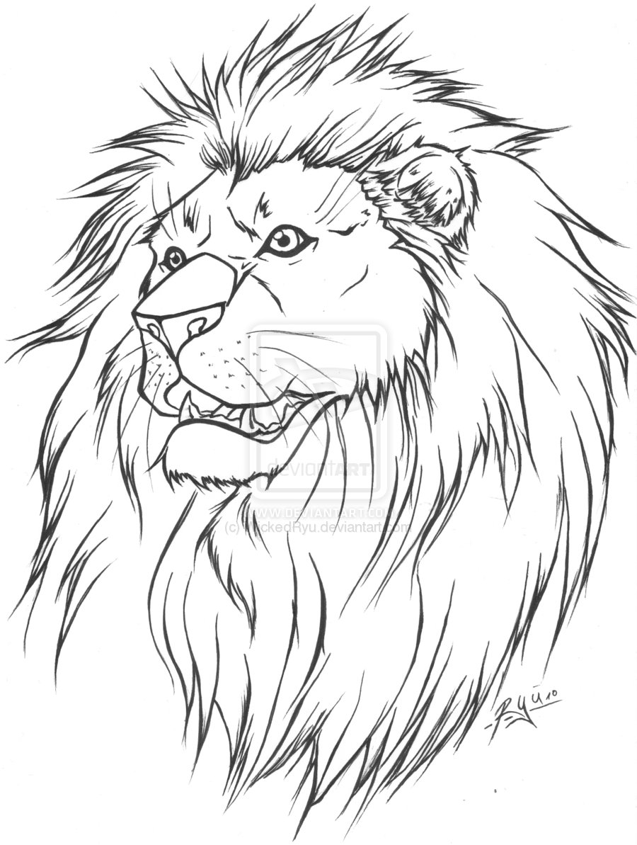 900x1193 Download Lion Tattoo Line Drawing
