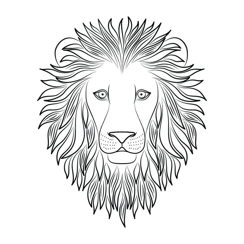 Lion Head Outline Drawing at GetDrawings | Free download