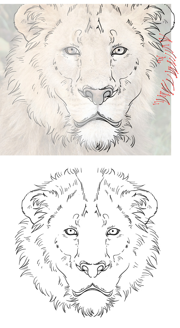 600x1091 Draw The Cowardly Lion From The Wizard Of Oz In Adobe Illustrator