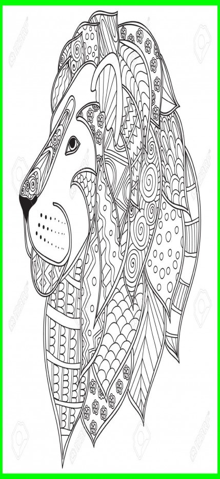 Lion Head Outline Drawing at GetDrawings | Free download