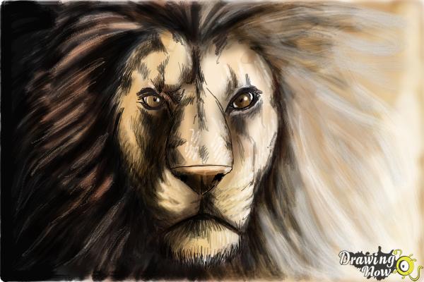 600x400 How To Draw A Lion Face