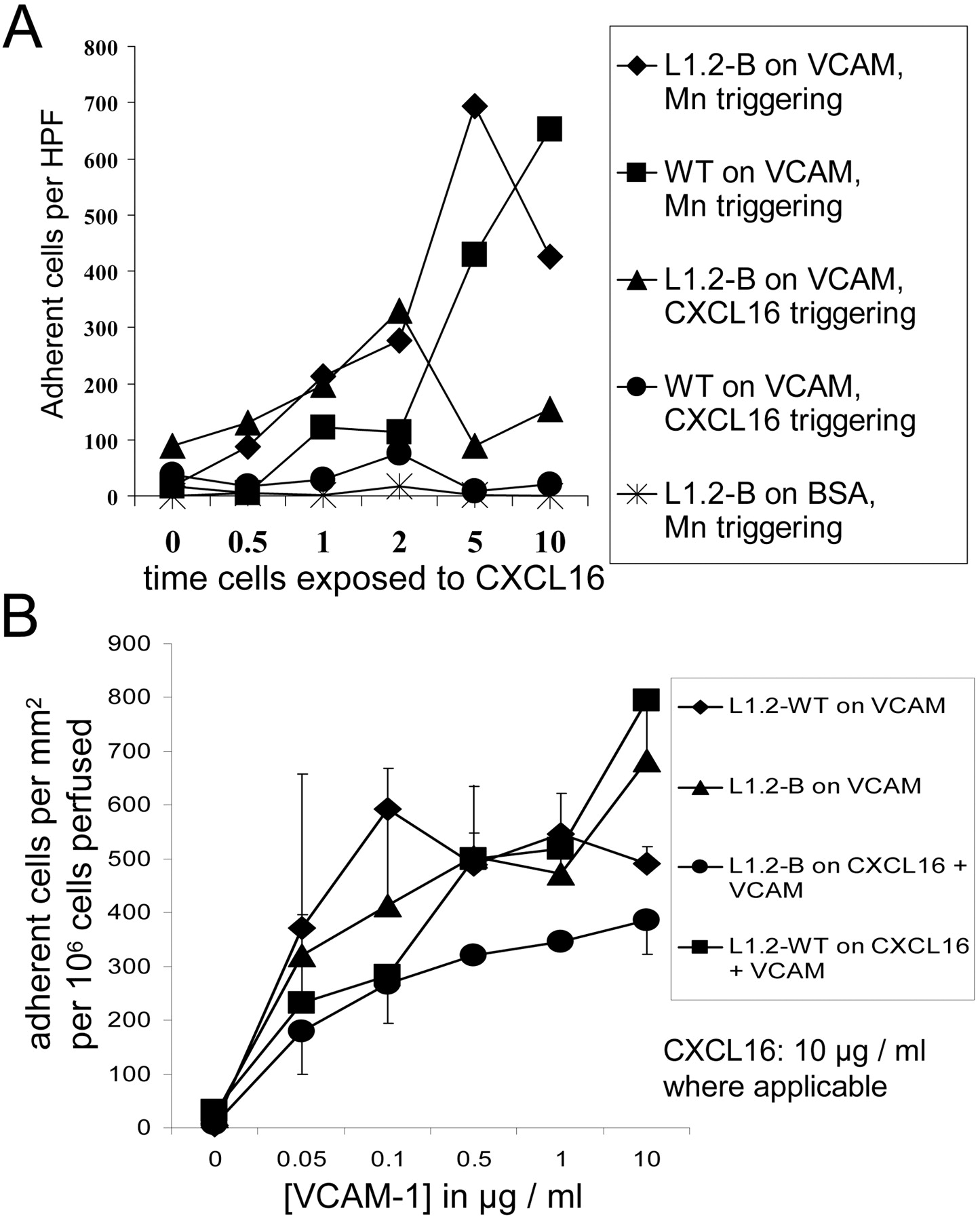 1445x1800 Cxc Chemokine Ligand 16 Promotes Integrin Mediated Adhesion