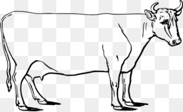 260x160 Drawing Ayrshire Cattle Livestock