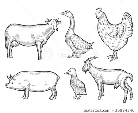 450x368 Farm Animal Set.