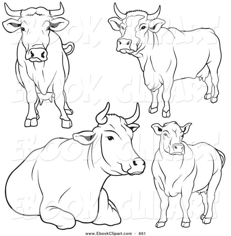 736x750 56 Best Farm Animals Images On Graphics Fairy, Vintage