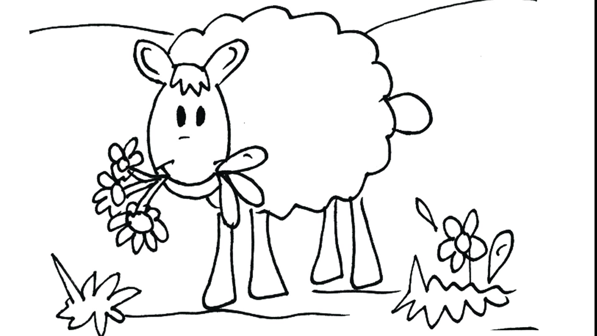 1920x1080 Image Coloring Page With Lamb Drawing For Kids Affordable Easy