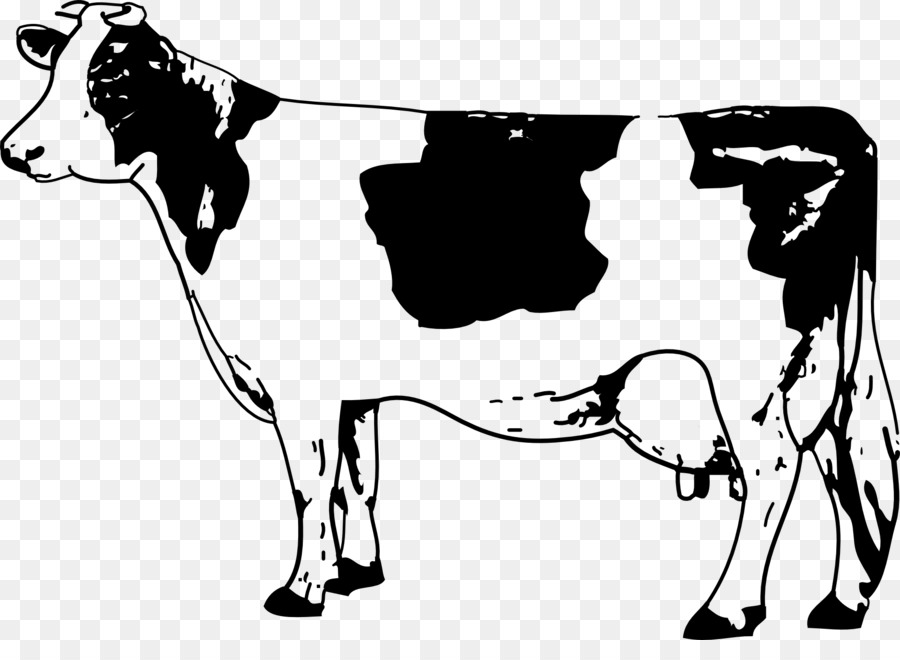 900x660 Texas Longhorn Jersey Cattle Drawing Clip Art