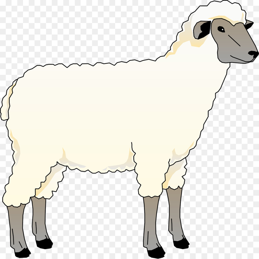 900x900 Sheep Drawing Free Content Goat Clip Art
