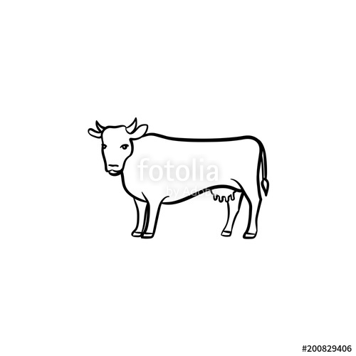 500x500 Cow Hand Drawn Outline Doodle Icon. Farming Cattle Vector Sketch