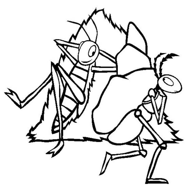 600x612 Locust Clipart