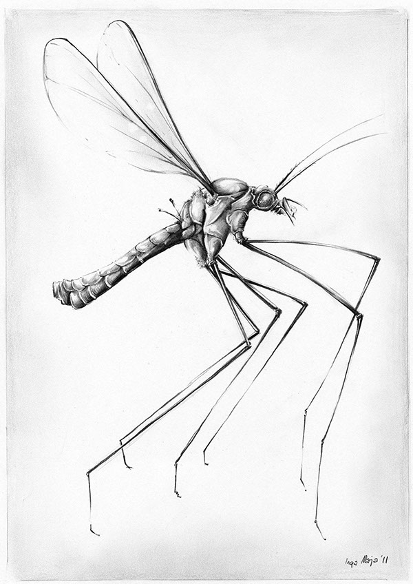 600x848 Report A Bug On Behance