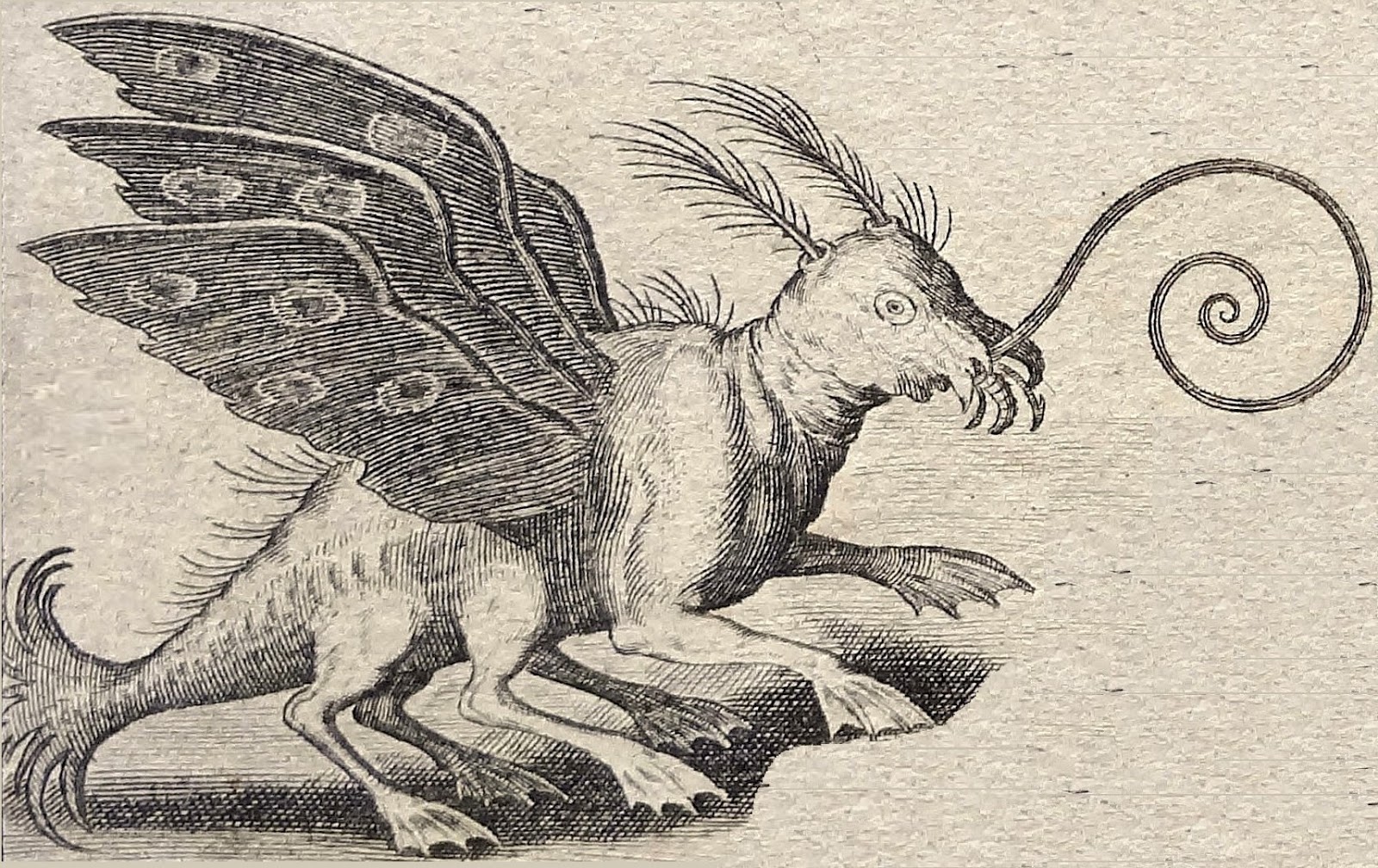 1600x1008 The Locust Of Kalisz More Like A Dali Esque Deathshead! Where