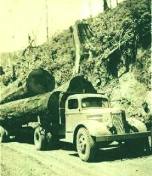 300x348 White Log Truck