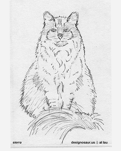 480x600 Sketch Long Haired Cat Blog.designosaur.us