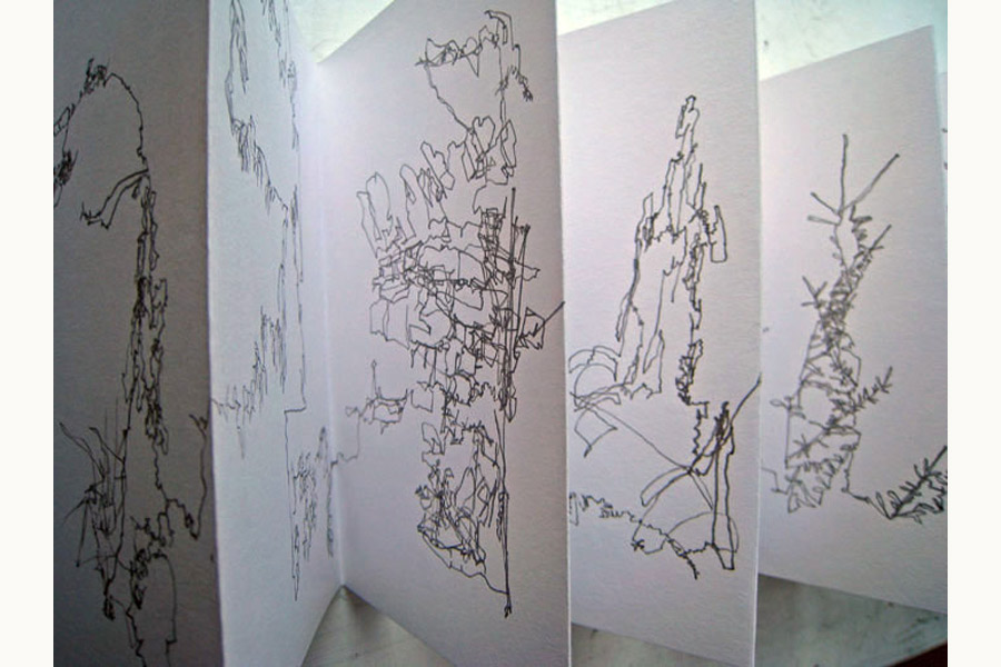 900x600 Year Long Drawing Jenny Purrett