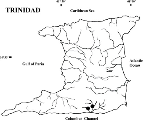 471x396 Collection Of Caribbean Island Drawing High Quality, Free