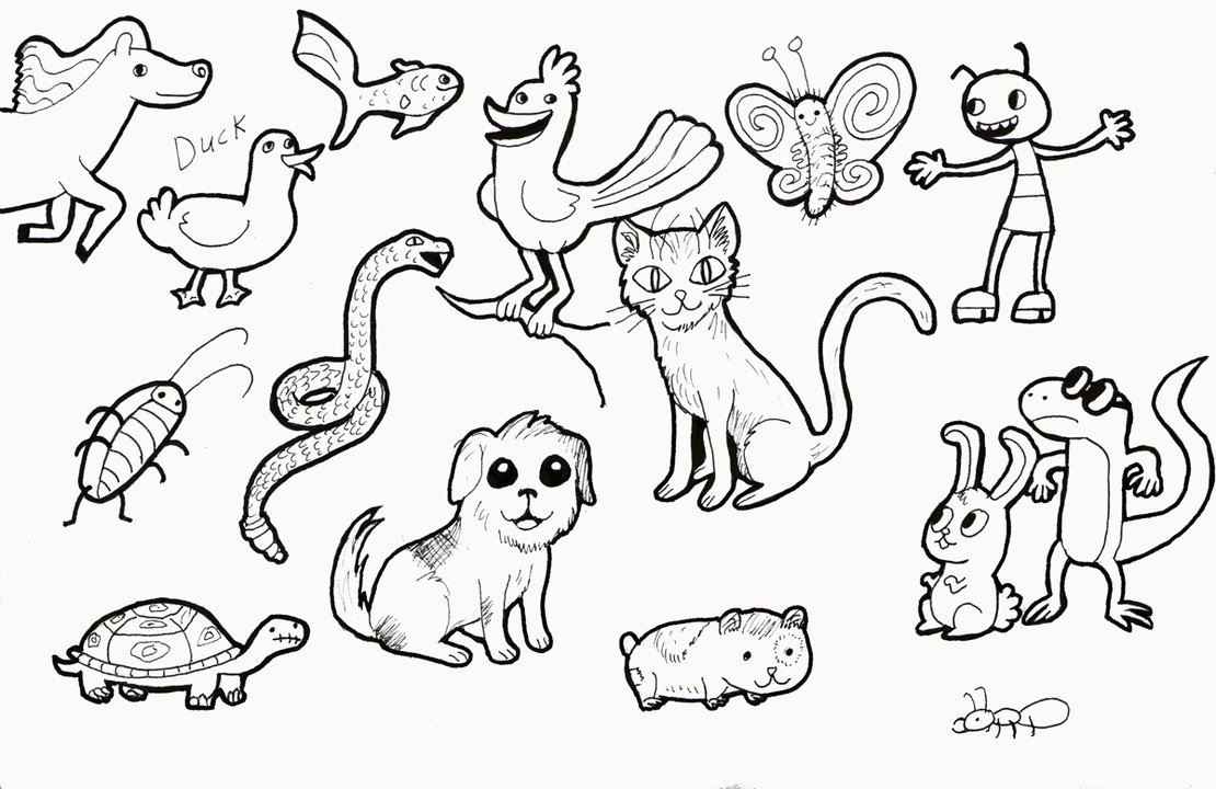 1110x720 Lots And Lots Of Animals By Karek