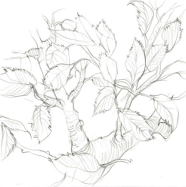 637x640 Lots Lovely Drawings, Prints, Cards, Photos And Collections