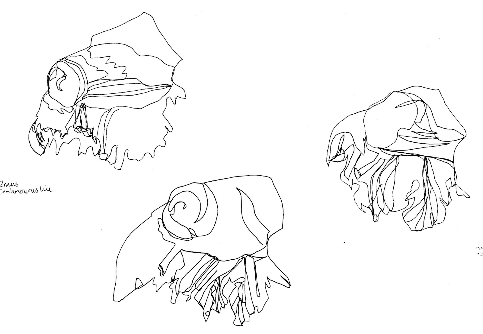 1600x1105 Drawings Planet Ruby Starrs