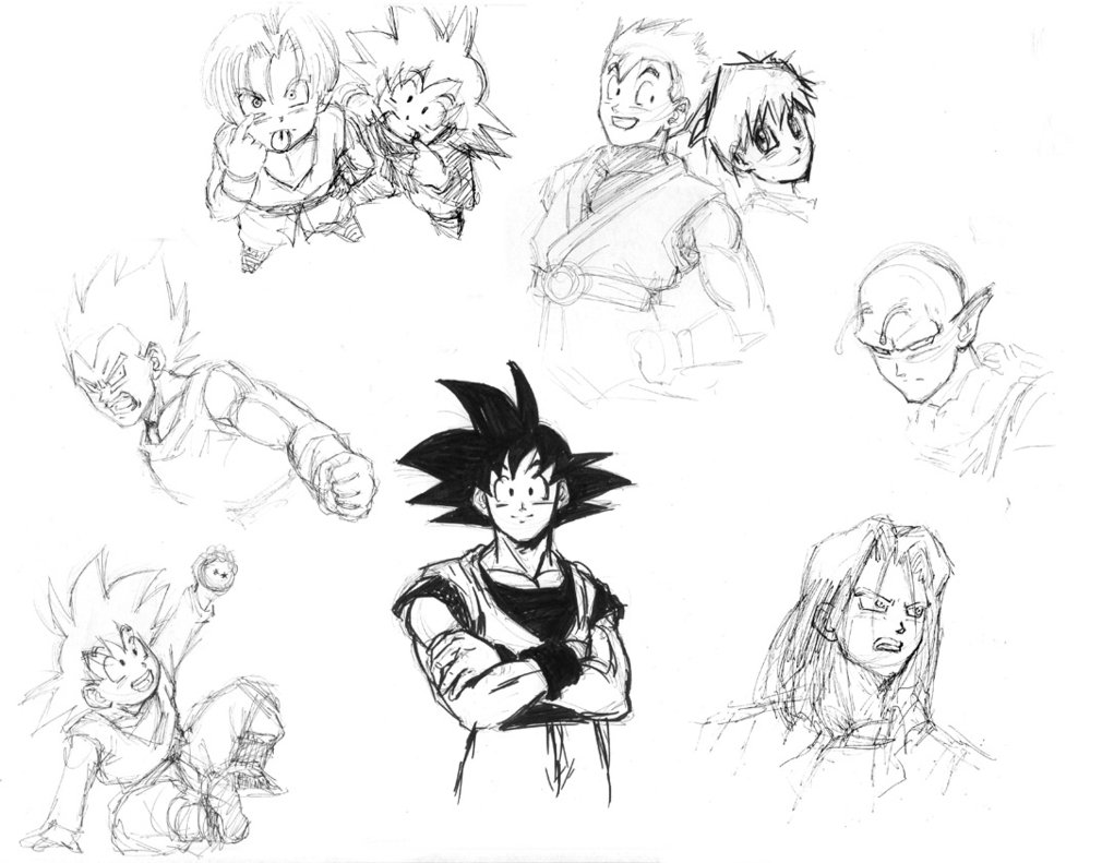 1010x791 Dbz Lots Of Sketches By Risachantag