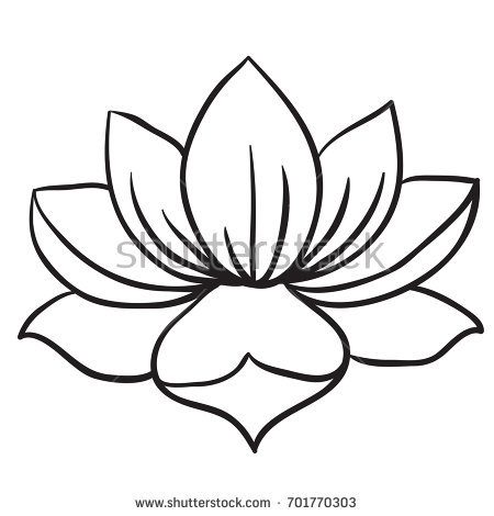 Lotus Flower Black And White Drawing