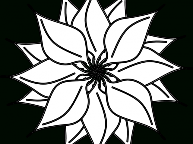 640x480 Lotus Flower Drawing Black And White Flower Black And White Flower