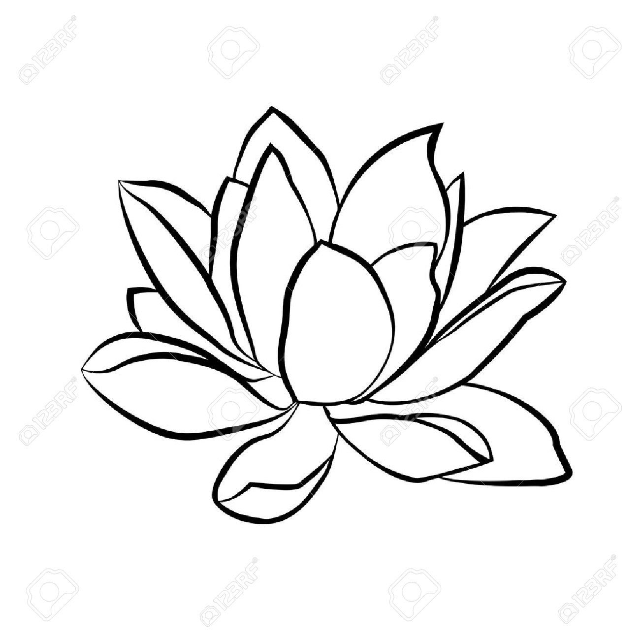 1300x1300 Photos Lotus Flower Line Art,