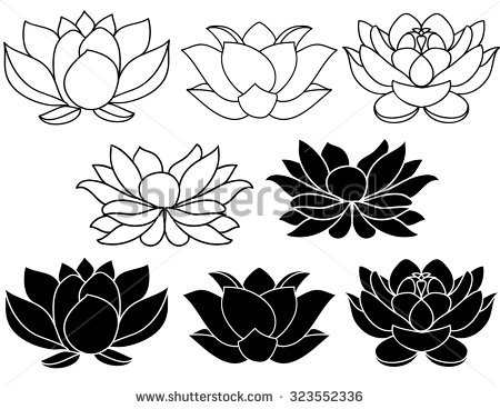 450x368 Pictures Lotus Flower Drawing Black And White,