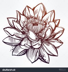 236x251 Black And White Lotus Flower Sketch How