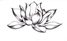 236x145 Lotus Flower Black And White Ink Drawing Art License Plate