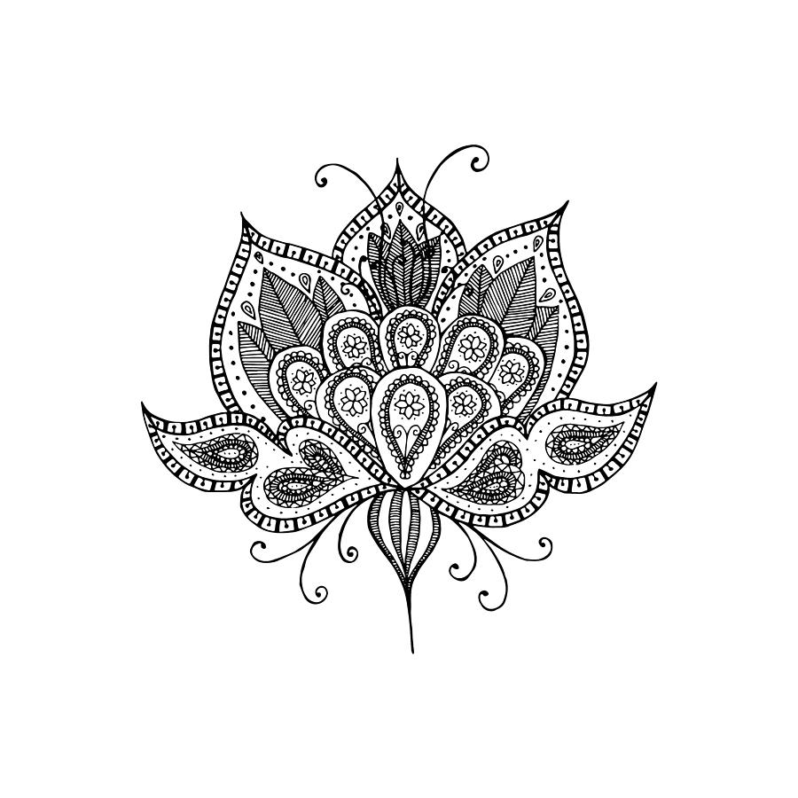 900x900 Lotus Flower Drawing Lotus Flowers Drawing Images Lotus Flower