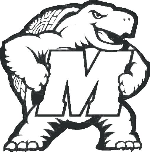 507x514 Lsu Coloring Pages Coloring Pages Tigers Coloring Pages Copy Tiger