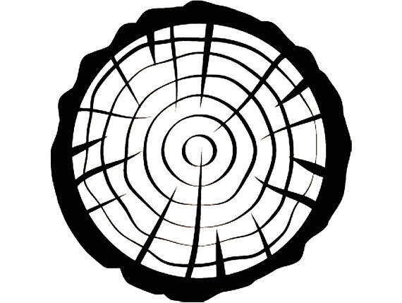 570x429 Tree Slice Slab 3 Trunk Stump Lumber Lumberjack Cut Pile Logs