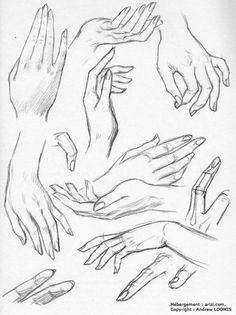 236x315 Bass Hand Study By
