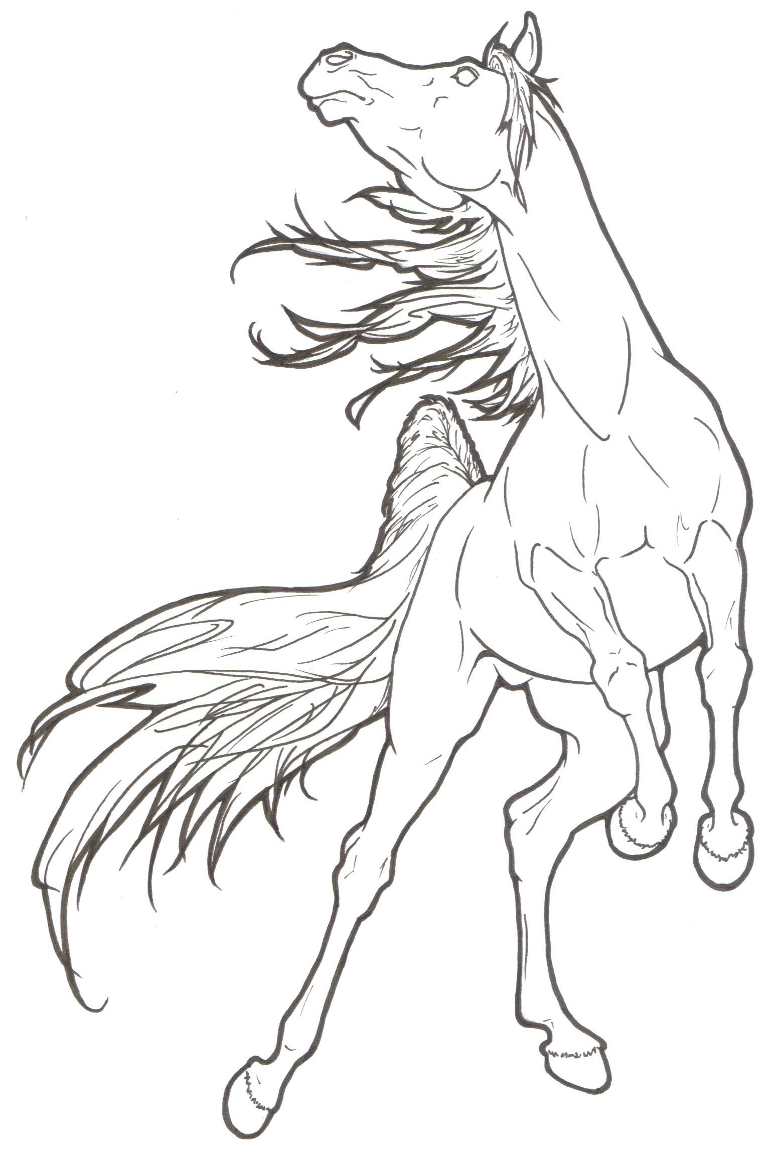 1539x2306 The Main Drawing That Shaped The Pose For The Horse Tattoos