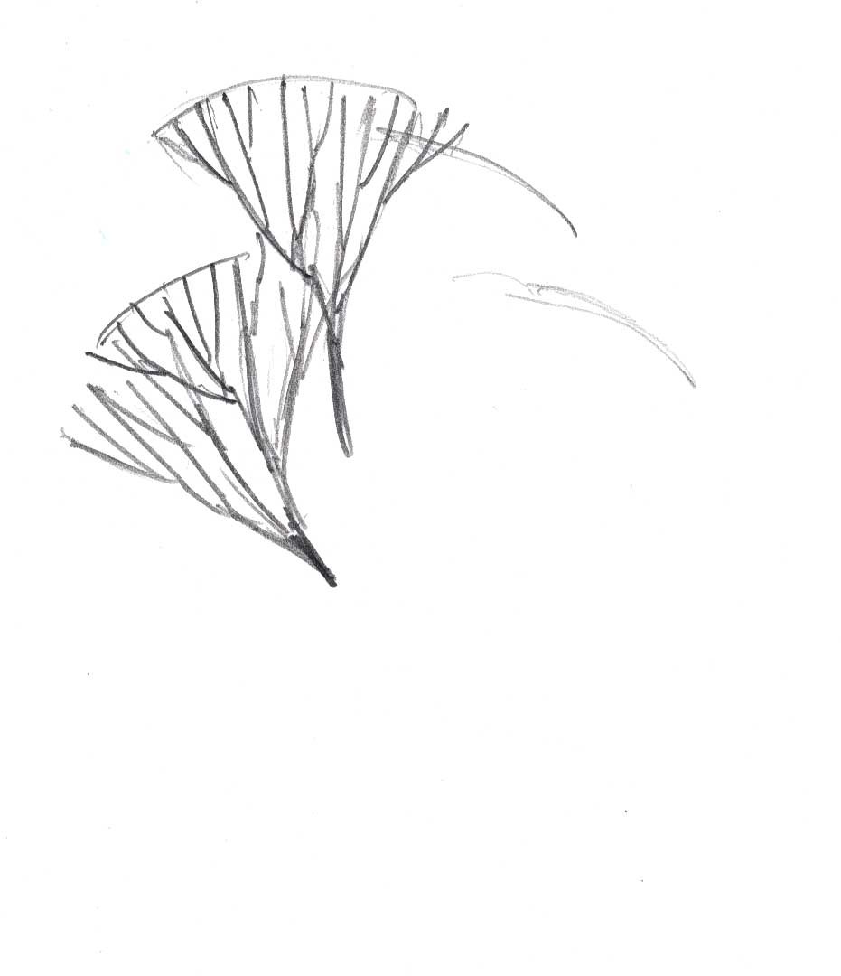 931x1080 How To Draw Trees In Winter