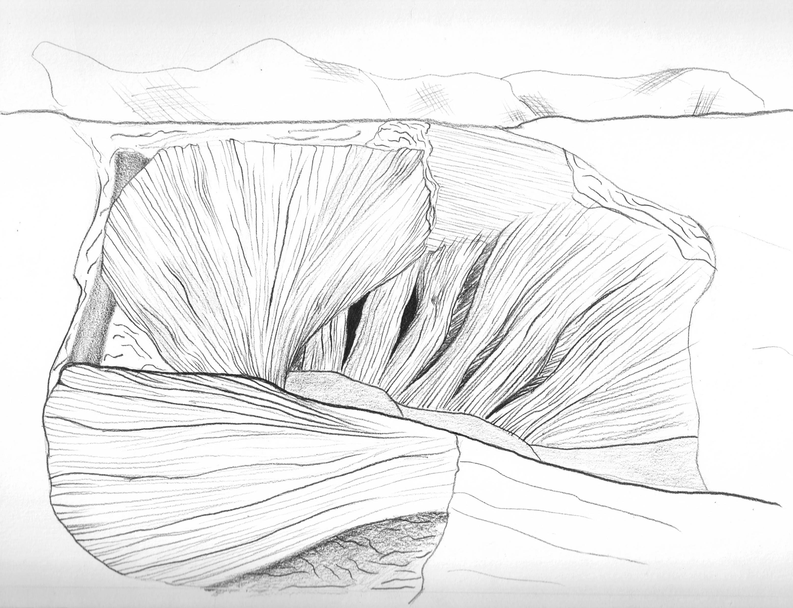 3225x2475 Scientific Illustration Rebecca Flannigan