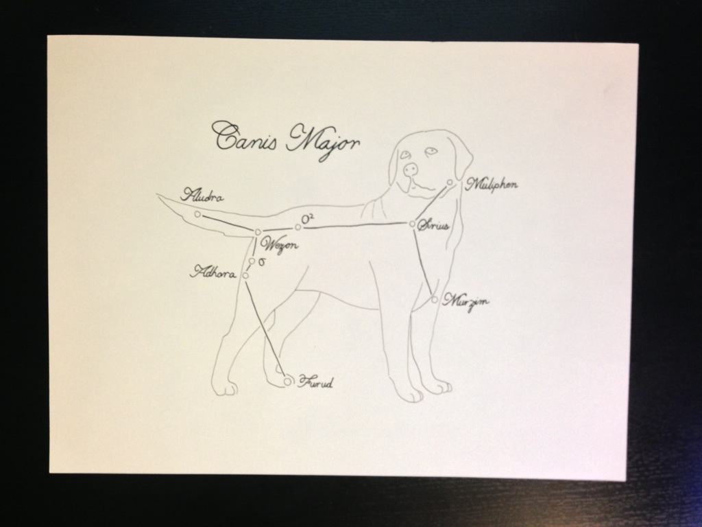 1024x768 Canis Major, Drawing Of The Day Driftandburn