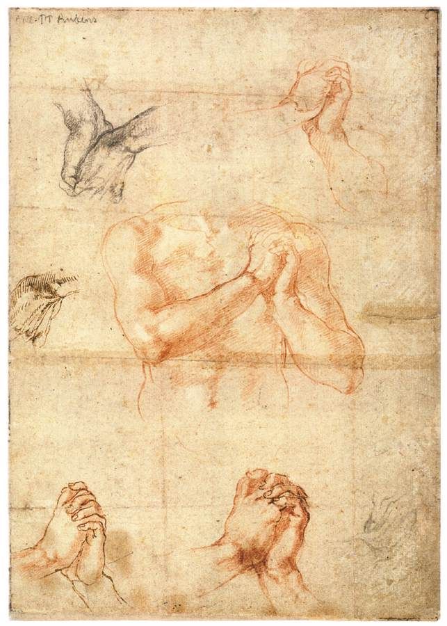 643x900 Michelangelo Buonarroti Male Upper Body With Folded Hands (Verso